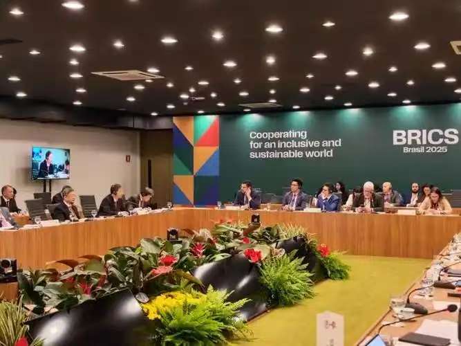 变动世界中的金砖合作形势研判