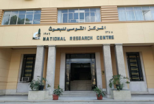 埃及国家研究中心（埃及）