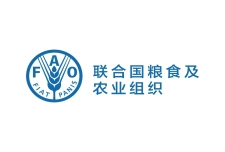 联合国粮食及农业组织